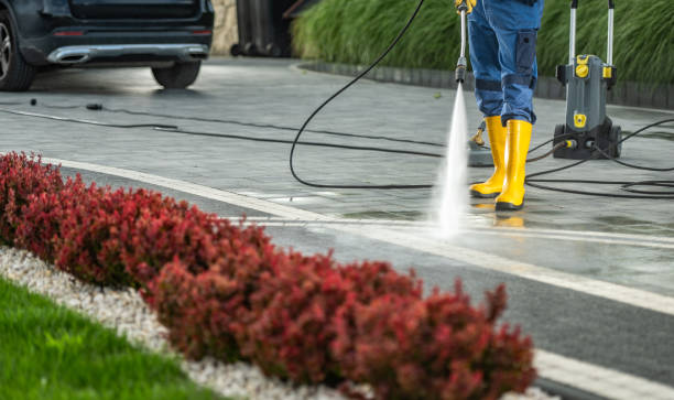 Best Gutter Cleaning  in White Salmon, WA